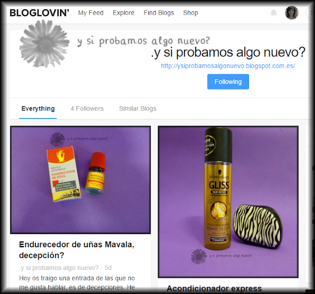 cuenta bloglovin