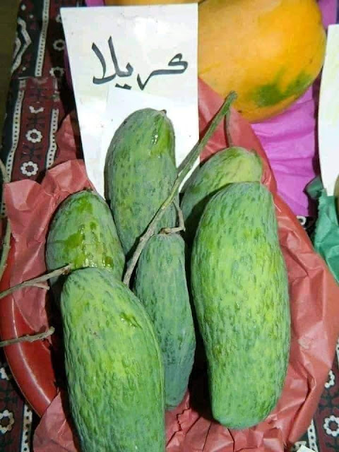 How many types of mangoes in Pakistan