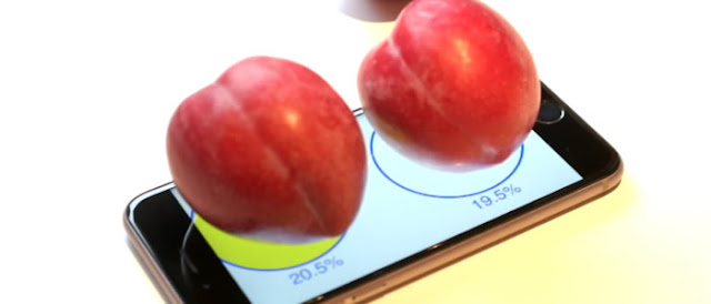 Programador transforma iPhone em balança de alimentos.