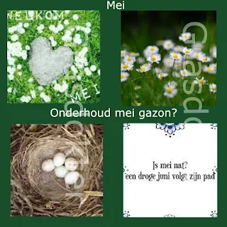 onderhoud gazon mei