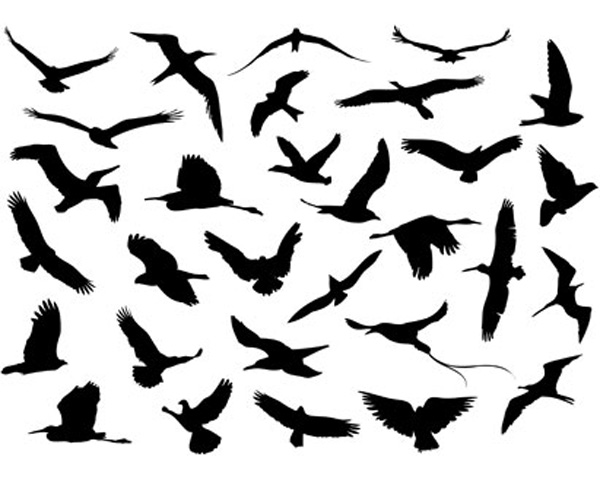 Free Vector がらくた素材庫 羽ばたく鳥のシルエット Vector Flying Birds