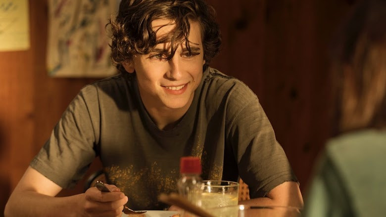 Beautiful boy, siempre serás mi hijo 2018 pelicula completa hd