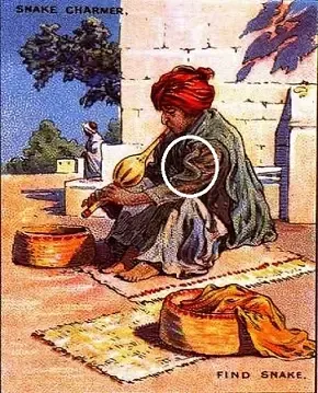 اين الافعى,لغز اين الافعى في الصورة,من اين الافعى,اين الافعى في الصورة,من اين تبيض الافعى,من اين تتنفس الافعى,من اين تشم الافعى,من اين تخرج الافعى الفضلات,اين تعيش الافعى,من اين تبول الافعى,من اين تسمع الافعى,اين يوجد الافعى,اين تعيش افعى,اين يعيش الثعبان بالانجليزي,اين يضع الثعبان بيضه,اين يضع الثعبان سمه عند شرب الماء,اين يوجد الثعبان في الصورة,اين تبيض الثعبان,اين يعيش الثعبان الاسود,اين يشم الثعبان,ابن الافعى,اين يوجد قلب الافعى,اين يقع قلب الافعى,اين يوجد سم الافعى,من اين يخرج سم الافعى,من اين يخرج براز الافعى,اين يقع سم الافعى,اين يباع سم الافعى,اين الافعى وفلد,اين الافعى وفرنسا,اين الافعى والحصون,اين الافعى وقت الاكل,الافعى في المنام,الافعى في الحلم,اين هبطت الافعى,اين هو الأفعى,اين هو الثعبان,اين نزلت الافعى,اين يقع نهر الأفعى,من اين تلد الافعى,من اين تخرج الافعى فضلاتها,اين نزلت الافعى من الجنه,الافعى من اين تبيض,الافعى من اين تتنفس,اين الافعى كوبر,اين الافعى كردستان,اين الافعى كوردستان,اين الافعى كامل,اين قلب الافعى,اين قلب الثعبان,اين تعيش افعى فلسطين,اين تقع افعى فلسطين,اين يوجد السم في الافعى,من اين تخرج فضلات الافعى,اين الافعى غور,اين الافعى غربي,اين الافعى غزو,اين الافعى غرب,اين تضع الافعى سمها عند الشرب,عين الافعى,عين الافعى في المنام,اين توجد حاسة الشم عند الافعى,حجر عين الافعى,ايفار عين الافعى,قصة عين الافعى,اين الافعى ظرف,اين الافعى ظفر,اين الافعى ظهور,اين الافعى طرابزون,اين الافعى طولكرم,اين الافعى طيور,اين الافعى طلب,اين الافعى طعامها,اين الافعى طويله,اين الافعى ضد,اين الافعى صفوان,اين الافعى صلاح الدين,اين الافعى صنع,اين الافعى شارع فلسطين,اين الافعى شاركو,اين سم الافعى,اين سم الثعبان,اين يخرج سم الافعى,اين الافعى زيرو,اين الافعى زراعية,اين الافعى زيت,الافعى الزرقاء في المنام,اين الافعى روس,اين الافعى رشيد,اين الافعى رهيبه,اين الافعى رعب,اين الافعى رمادية,اين ذكر الثعبان في القرآن,اين الافعى دبي,اين الافعى دار,اين الافعى دروج,اين الافعى دهن,من اين خلقت الافعى,اين حاسة الثعبان,من اين تقضي حاجتها الافعى,اين تقع جزيرة الافعى,جنين الافعى,اين الافعى ثروة,اين الافعى ثرو,اين الافعى ثلجي,اين الافعى ثروتل,اين الافعى ثرود,اين تضع الافعى بيضها,اين تبيض الافعى,اين توجد الافعى المجلجلة,اين تلد الأفعى,أين توجد الأفعى,اين تقع الافعى,اين تعيش افعى الاناكوندا,اين توجد افعى الاناكوندا,من اين تخرج الافعى بيضها,من اين تضع الافعى بيضها,من اين يخرج بيض الافعى,اين افعى,الأفعى اين تعيش,اين الثعبان,اين الافعى 06,اين الافعى 02,اين الافعى 032,اين الافعى 011,اين الافعى 042,اين الافعى 11,اين الافعى 12,اين الافعى 19,اين الافعى 101,اين الافعى 111,اين الافعى 202,اين الافعى 2022,اين الافعى 32,اين الافعى 36,اين الافعى 31,اين الافعى 33,اين الافعى 306,اين الافعى 42,اين الافعى 44,اين الافعى 411,اين الافعى 461,اين الافعى 462,اين الافعى 56,اين الافعى 66,اين الافعى 666,اين الافعى 660,اين الافعى 606,اين الافعى 601,اين الافعى 71,اين الافعى 72,اين الافعى 77,اين الافعى 96,اين الافعى 91,اين الافعى 92,اين الافعى 93,اين الافعى 911