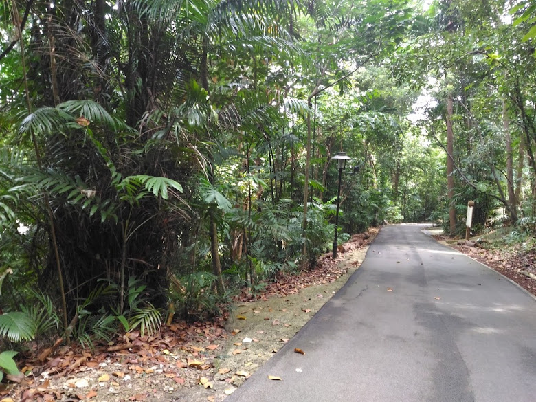 拉柏多自然保護區走道一景