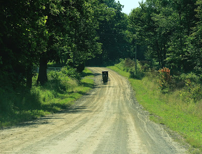 gravel road with Amish horse and buggy in distance