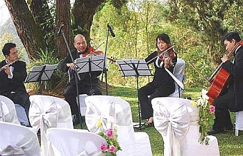 Melodious: A string quartet performing during the reception.