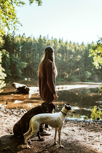 woman by lake with two dogs:Photo by Chewy on Unsplash