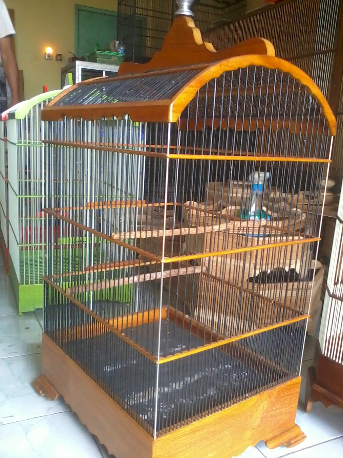 Jual Sangkar Burung Kacer  Jual Sangkar  Burung  Kenari 