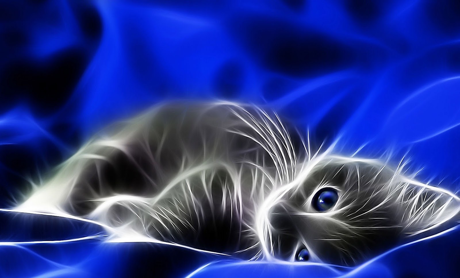 Desktop Backgrounds  4U Fantasy  Cats 