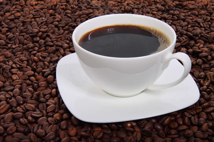 Economía/Exportaciones de café generan 897 mdd anuales; UGOCM