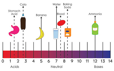 Acids, Neutral, Bases