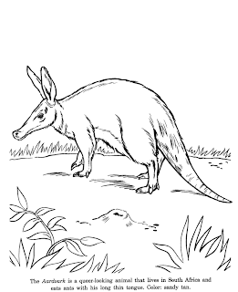 Aardvark coloring ~ Child Coloring