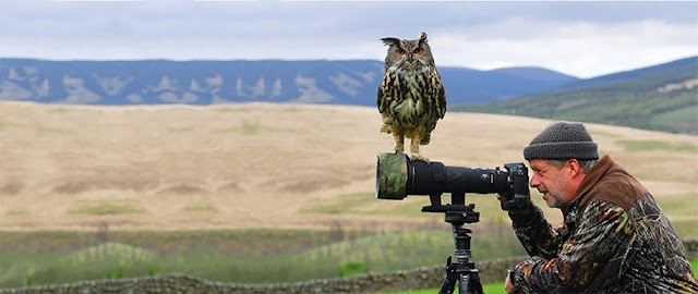 20 fotos mostram que fotografar a animais selvagens pode ser um dos melhores trabalhos do mundo