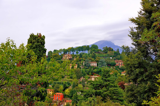 Image of trees on a hill top near Bergamo, Italy.