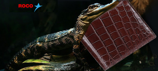 Băn khoăn không biết mua ví da cá sấu tại Hà Nội chỗ nào?