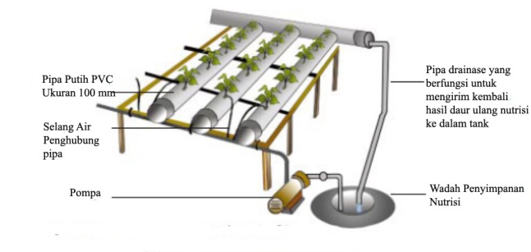 CARA KERJA SISTEM DFT DEEP FLOW TECHNIQUE PADA 