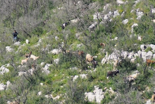 Κοντά σε συμφωνία για τον χώρο των σκουπιδιών Δήμαρχοι Μεσσηνίας