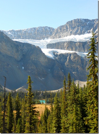 Crowfoot Glacier