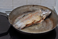 Rainbow Trout in Mushroom and Madeira Sauce ~ Simple Food