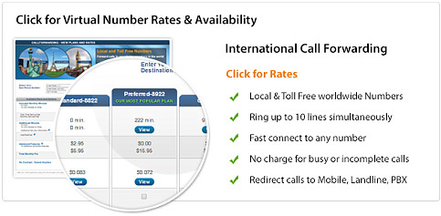 https://www.virtualnumber.skycallbd.com/