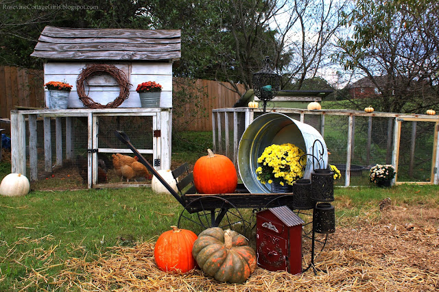 Backyard Chickens, Backyard Ducks, Hobby Farm, Coops