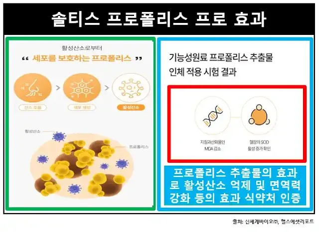 솔티스프로폴리스프로-효과