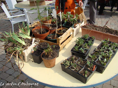 troc aux plantes blesle aubeyrat margaridou