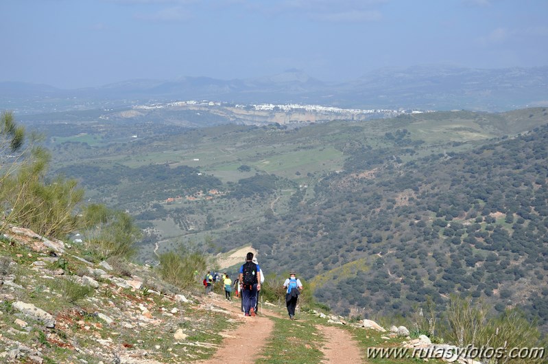 Cortes de la Frontera - Llanos de Libar - Benaojan