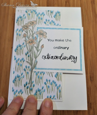 Rhapsody in craft, Balmy Blue, Fancy Fold, Friendship Card, Thank you card, Simply Succulents, Quiet Meadow, You're A Peach DSP, Double tri-fold Pop Up Card, Annual Catalogue 2021-22, Stampin' Up, #loveitchopit, #colourcreationsbloghop, #colourcreationsbloghop2021