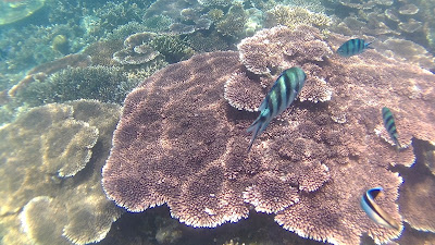 Explore Negeri Laskar Pelangi, Belitung, Indonesia