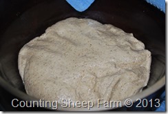 Waiting for bread to rise....