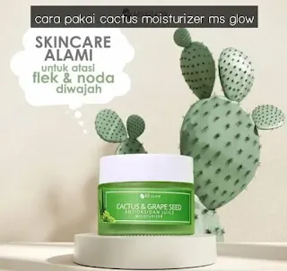 Cara Pakai Cactus Moisturizer MS Glow