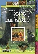 Tiere im Wald