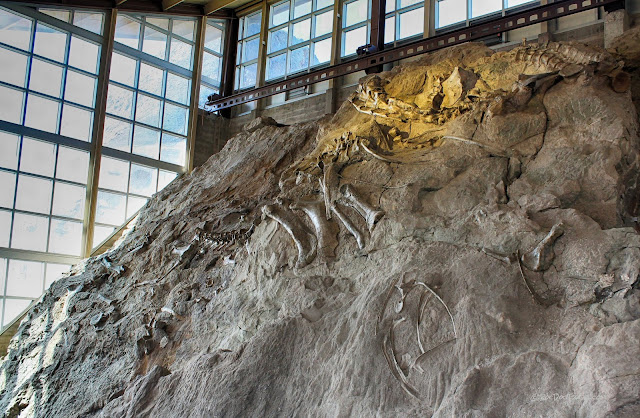 Dinosaur National Monument Utah geology fossils travel rocks hiking camping outdoors scenery copyright RocDocTravel.com