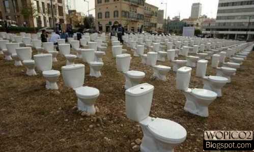 Toilet Seats