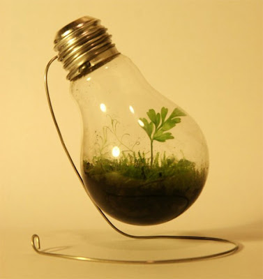 Creative Light Bulb Plant Pot