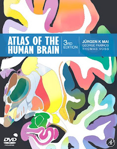 Atlas of the Human Brain