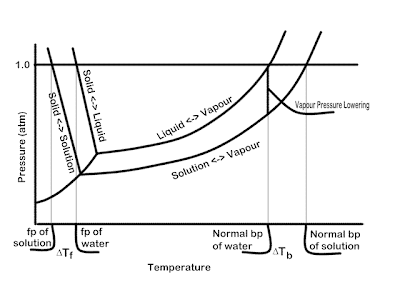 diagram fase phase