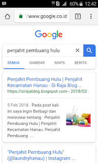 Mau Pasang Iklan di Blog Raja