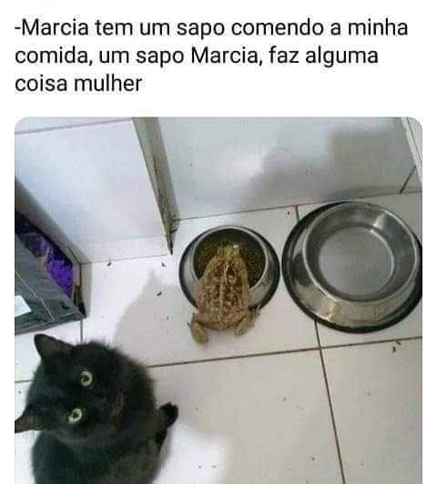 Memes engraçados