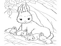 Four Baby Rabbit Coloring Pages Printable