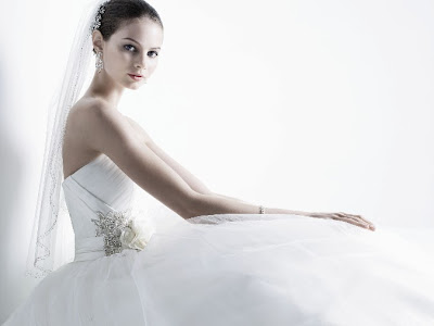 Davids Bidal on David S Bridal The Nation S Leading And Most Trusted Bridal Authority