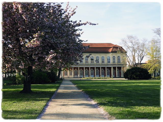 Fint tre i Schloß­garten Merseburg med Schloß­garten­salon i bakgrunnen.