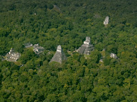 Ancient Mayan city discovered beneath Guatemala rainforest