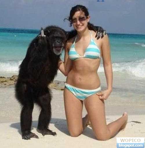 Lucky Chimp