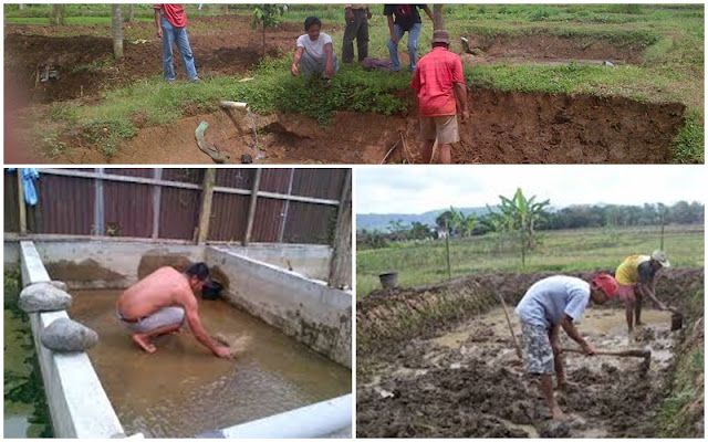  gurame, ternak ikan nila, budidaya ikan air tawar, ternak ikan hias, budidaya ikan patin, budidaya ikan mas, ternak ikan lele, budidaya ikan nila di kolam terpal, budidaya ikan nila, budidaya ikan mas, budidaya ikan lele, budidaya ikan  image results, more budidaya ikan images, peluang usaha budidaya ikan indonesia, cached, budi daya ikan  wikipedia bahasa indonesia ensiklopedia bebas, cached, budidaya ikan  video results, more budidaya ikan videos, budidayalelekucom  cara budidaya ternak ikan lele, cached, panduan lengkap budidaya ikan lele  alam tani, budidaya, perikanan, cara budidaya dan pembesaran ikan patin  natural nusantara, cached, budidaya ikan nila  cara budidaya  natural nusantara, cached, agrobisnis bali tv budidaya ikan hias koki  youtube, cached, budidaya ikan  lele sangkuriang  nila mujair, cached, budidaya ikan budidaya ikan koi  budidayakoiblogspotcom, cached, analisa usaha budidaya pembesaran ikan gurami  bibitikannet, analisa usaha, free download  mozilla firefox web browser, wwwmozillaorg, download firefox  the faster smarter easier way to browse the web and all of yahoo, budidaya ikan nila, teknik budidaya ikan cupang, budidaya ikan mas, teknik budidaya ikan koi, budidaya ikan lele, budidaya ikan lele sangkuriang, budidaya ikan koi, cara budidaya ikan mas  