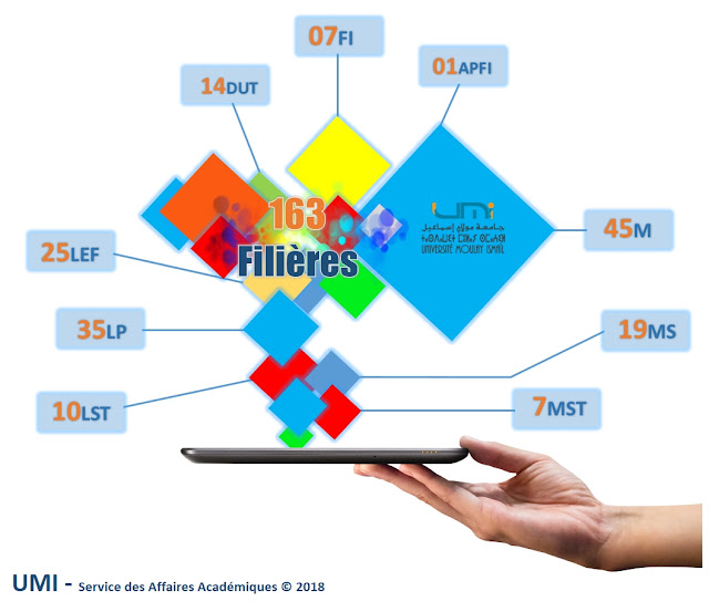 المسالك و التكوينات بجامعة مولاي إسماعيل