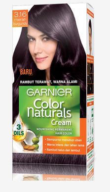  Macam Macam Warna Cat Rambut  Garnier