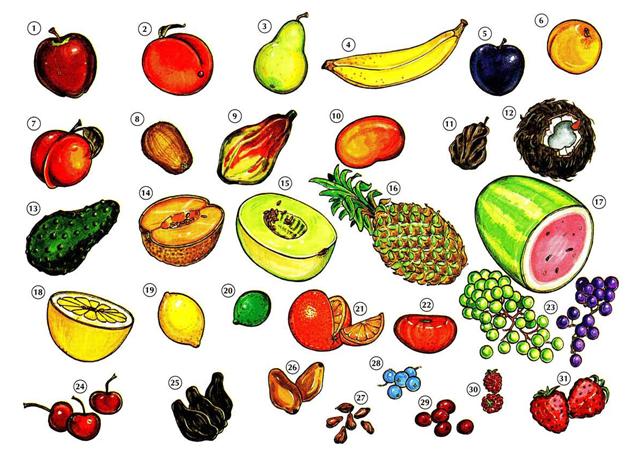 Fruits in English Belajar Bahasa Inggris Online