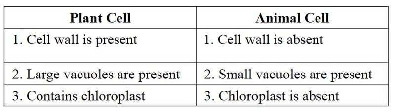 Class 8 Biology Cell Structure and Functions Question Answers